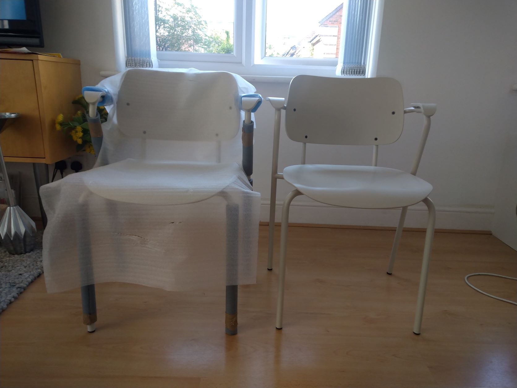 Pair.JPG